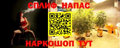 молекула духа Лесосибирск