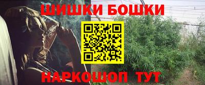 молекула духа Лесосибирск