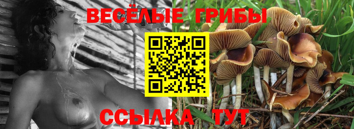 Псилоцибиновые грибы MAGIC MUSHROOMS Туймазы